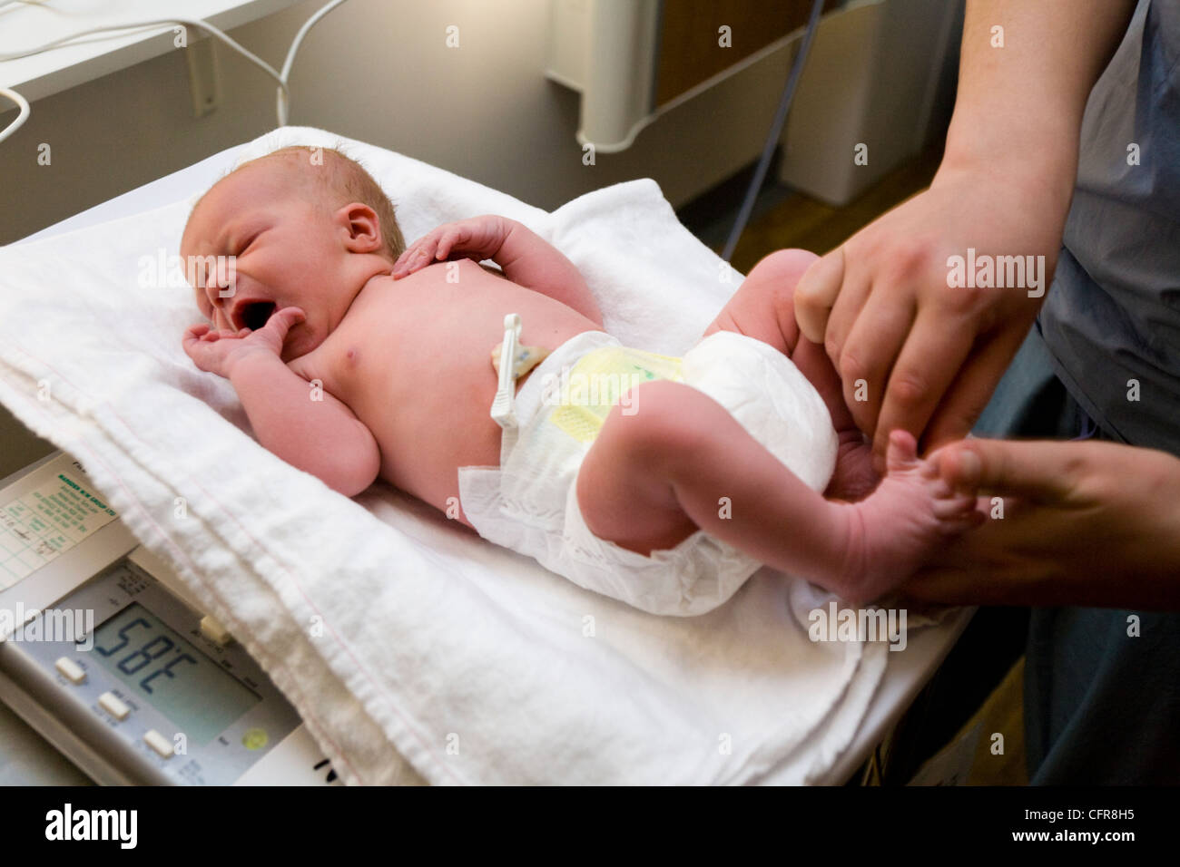 Midwife 's hands perform Physical examination health check test test on newborn / new born baby after childbirth / being born UK Stock Photo