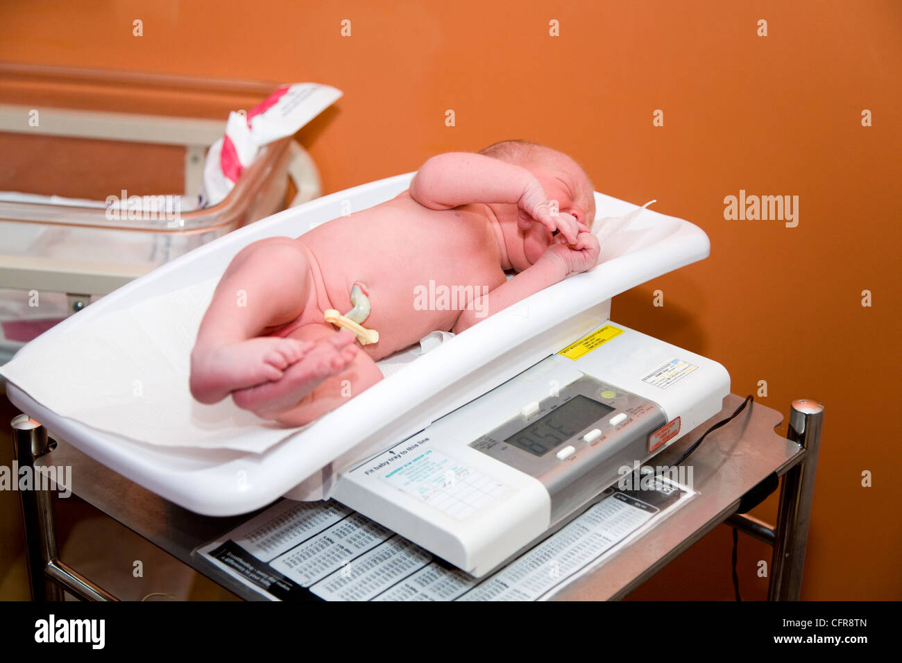 https://c8.alamy.com/comp/CFR8TN/weighing-a-newborn-new-born-baby-with-weighing-scales-scale-soon-after-CFR8TN.jpg
