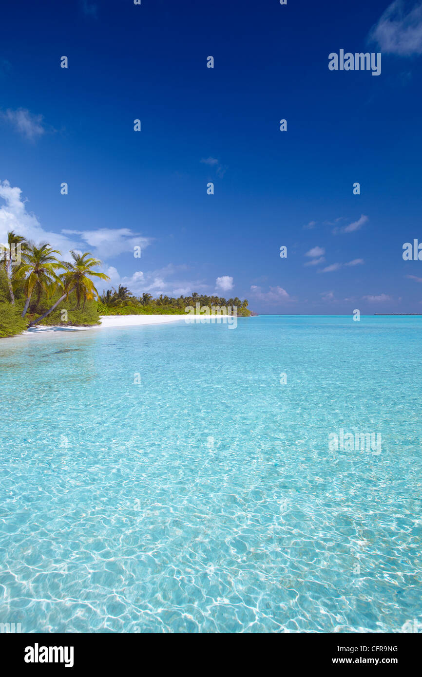 Tropical beach and lagoon, Maldives, Indian Ocean, Asia Stock Photo