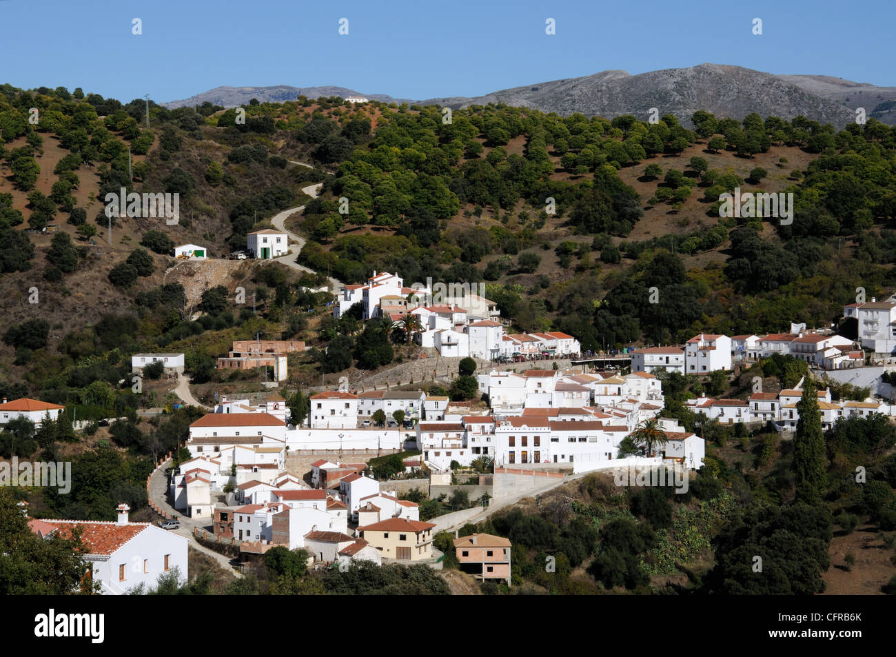 Village surrounded by trees, Juzcar, Serrania de Ronda, Malaga Province, Andalucia, Spain, Western Europe. Stock Photo