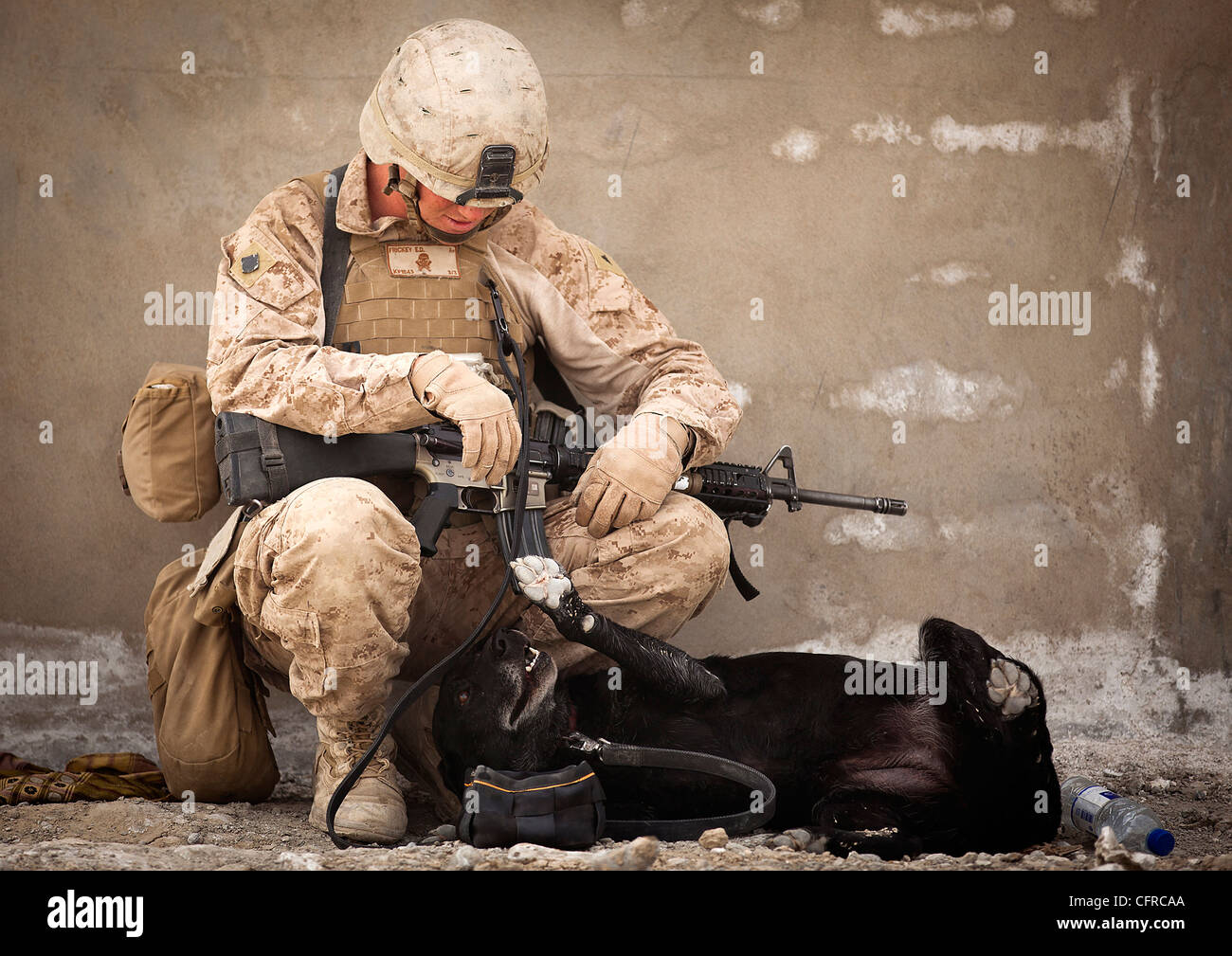 US Marine Lance Cpl. Evan Frickey, a 21-year-old improvised explosive device detection dog handler plays with Cookie, an improvised explosive device detection dog, while providing security on the perimeter of the Safar School compound March 18, 2012 in Safar, Afghanistan. Stock Photo