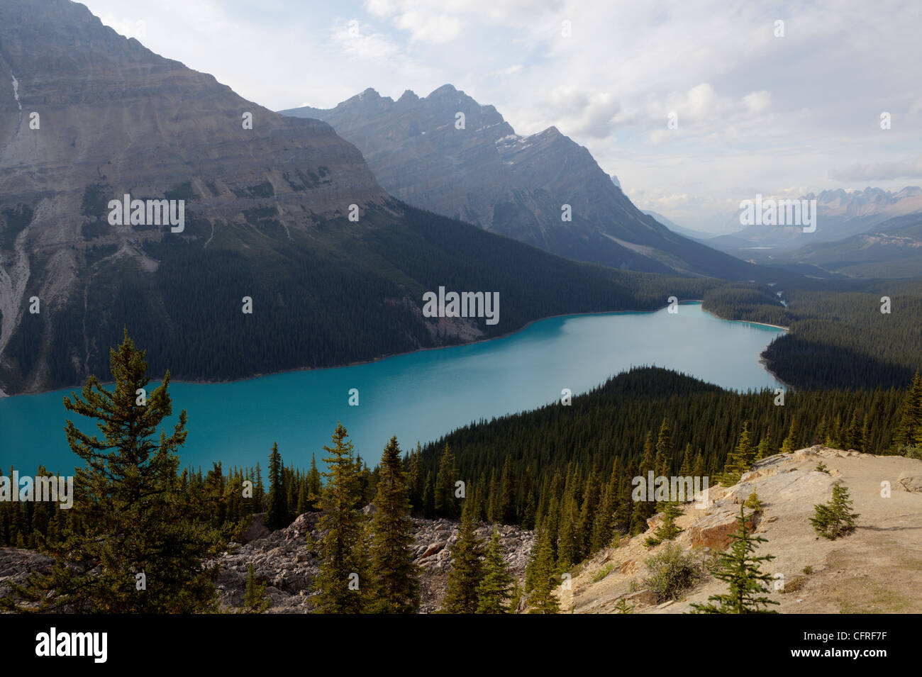 Banff national park peyto lake alberta no people hi-res stock ...