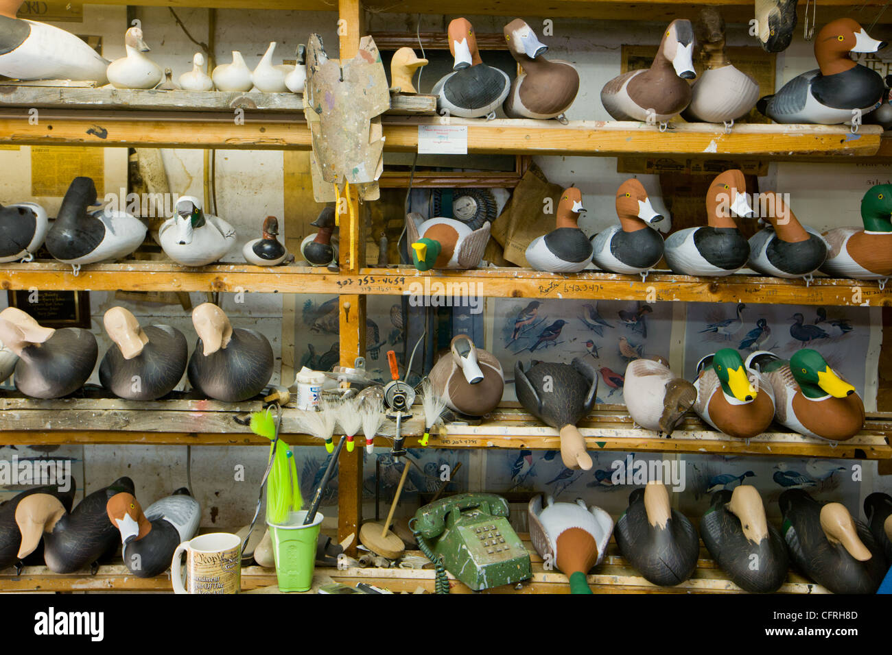 Duck decoys line shelves in a carver's Havre de Grace
