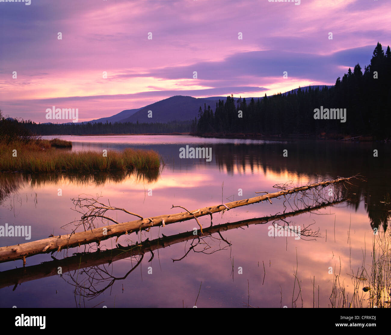 Petit Lac Cascapedia at Dawn, Quebec, Gaspesie National Park, Quebec