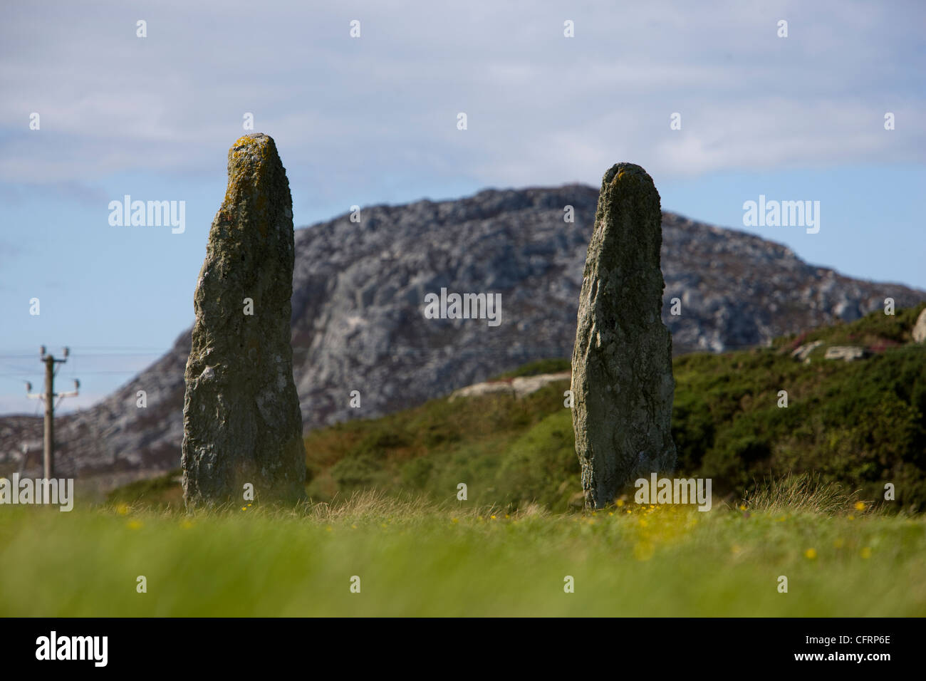 Penrhos Feilw standing stones near Holyhead mountain, Anglesey, North Wales Stock Photo