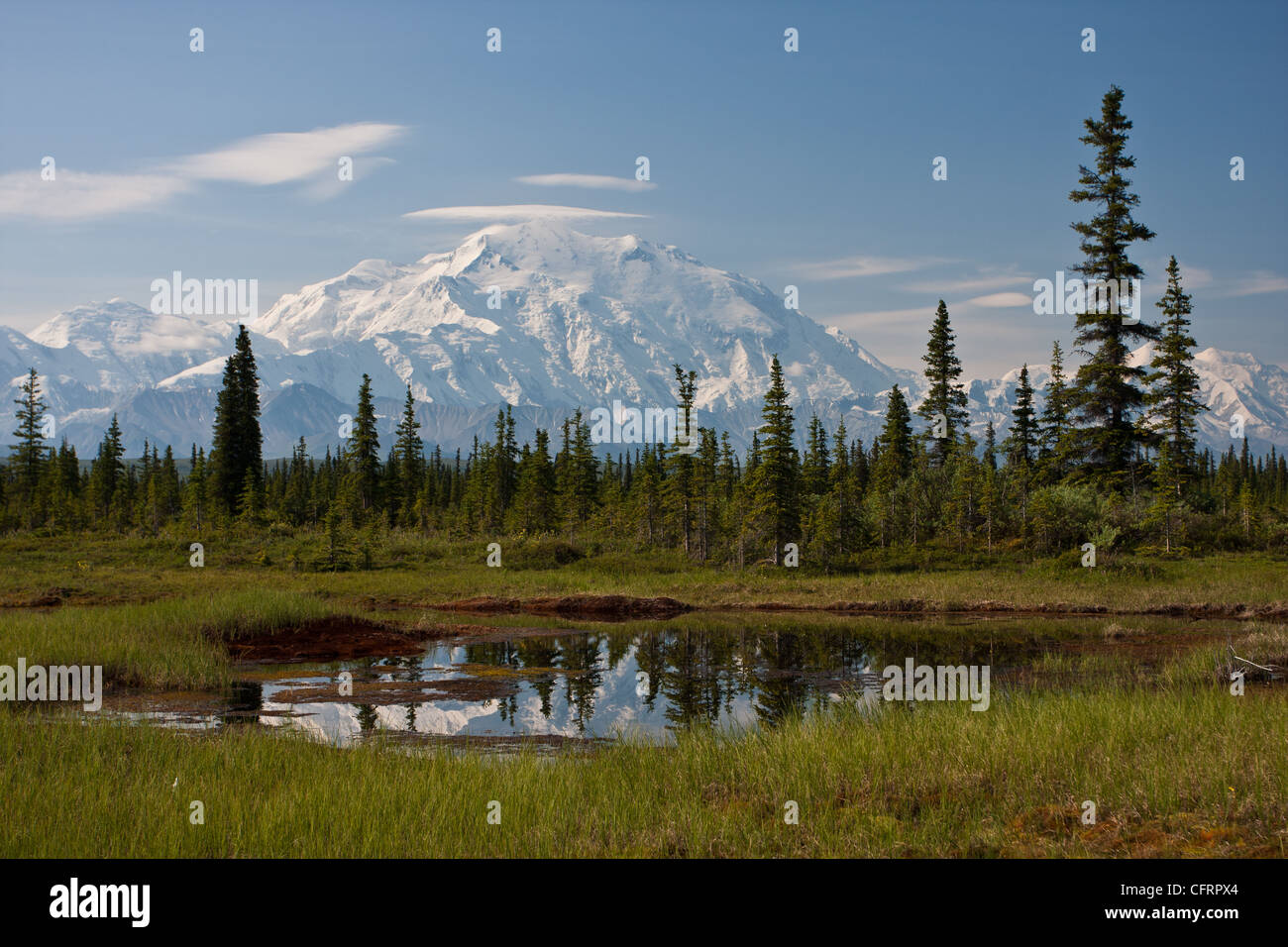 A small tundra pond in the boreal forest reflects Denali (Mt. McKinley) in Denali National Park, AK, USA. Stock Photo