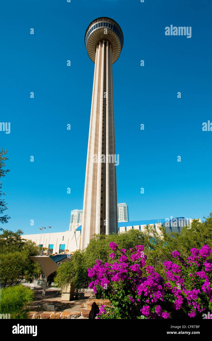 USA, Texas, San Antonio, HemisFair Park,Tower of the Americas, framed with flowers. PLEASE CALL
