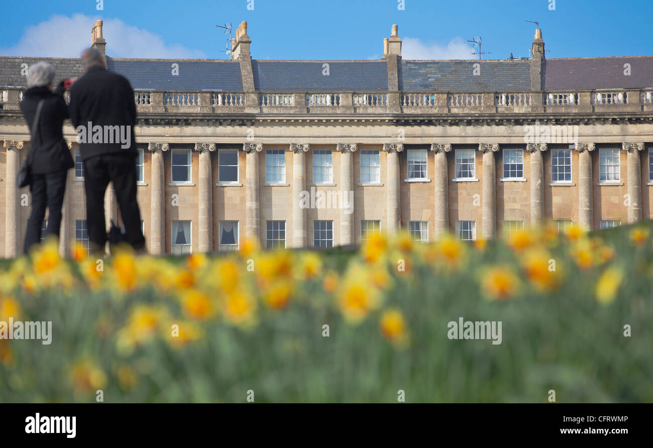 tourists photographing the Royal Crescent, Bath, in Spring with Daffodils in foreground Stock Photo