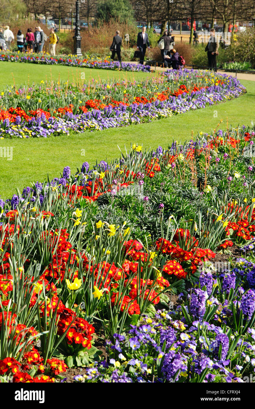 Spring flowers, Hyde Park, London, UK Stock Photo Alamy
