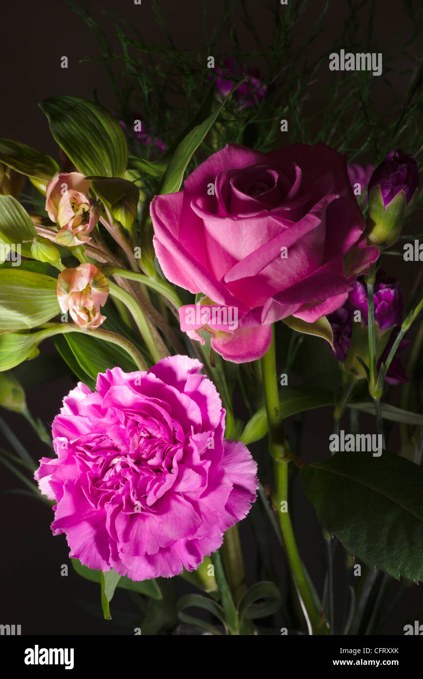 Red rose and pink carnation together in a flower bouquet Stock Photo