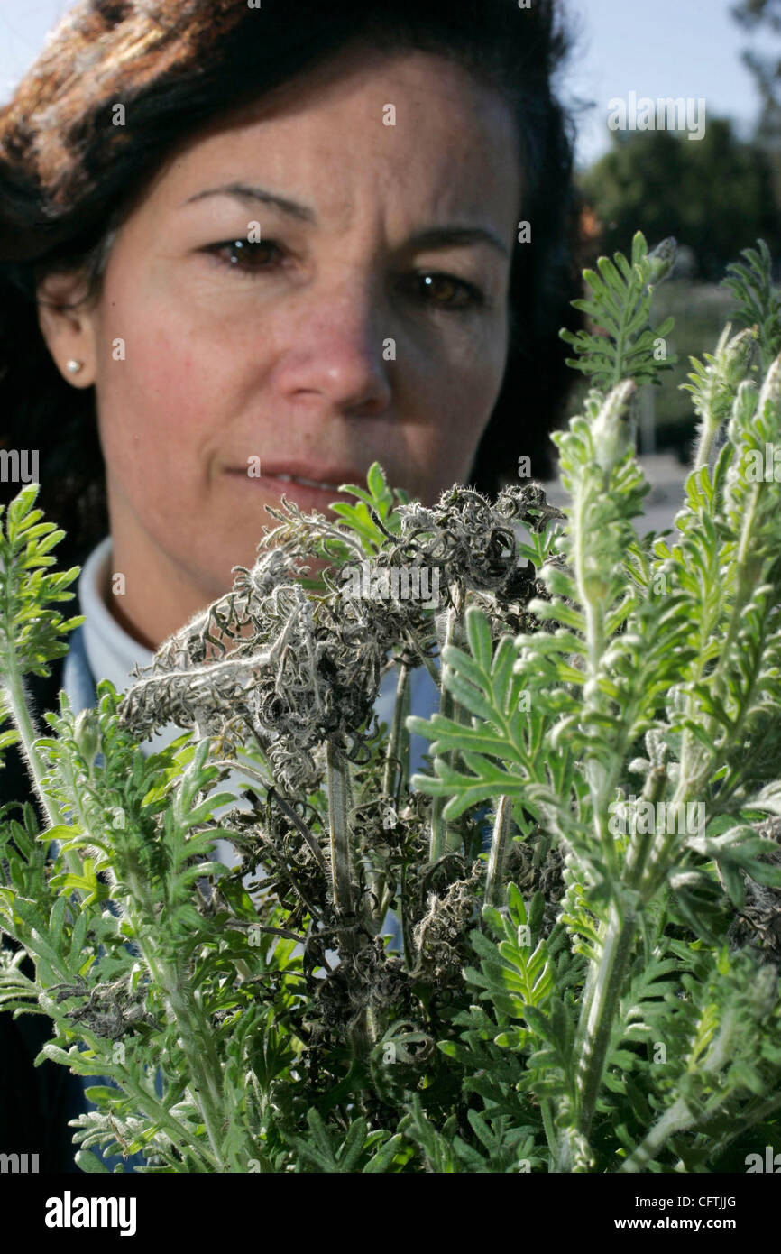 January 15, 2006, Fallbrook, California, USA KISTER inspects