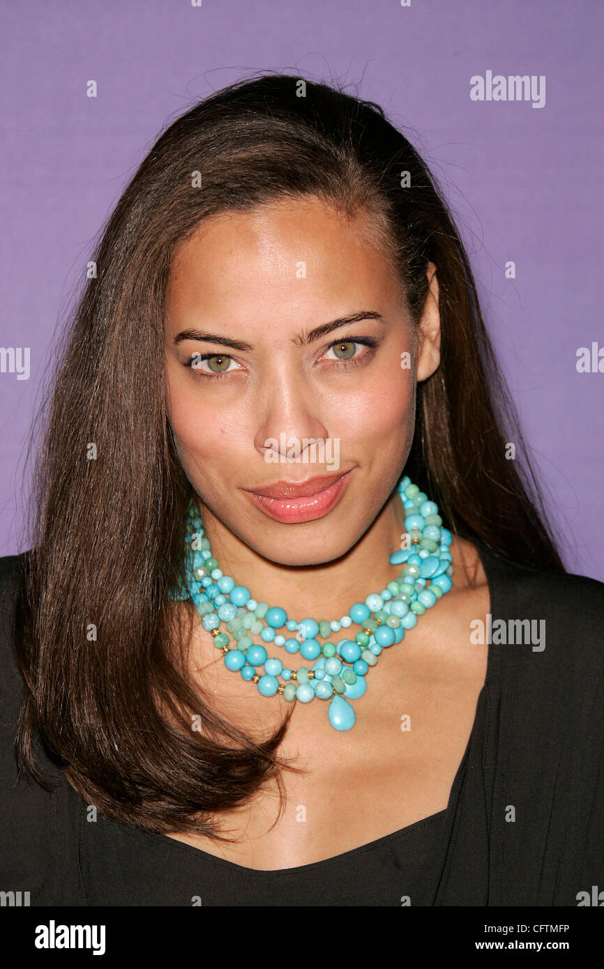 Tawny Cypress Stock Photos & Tawny Cypress Stock Images - Alamy