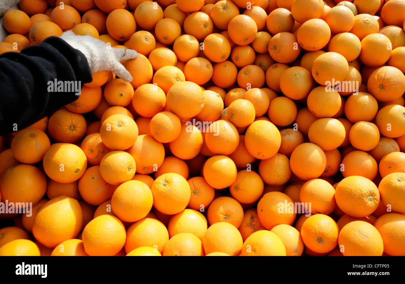 Jorge Gonzalez Where High Resolution Stock Photography And Images Alamy
