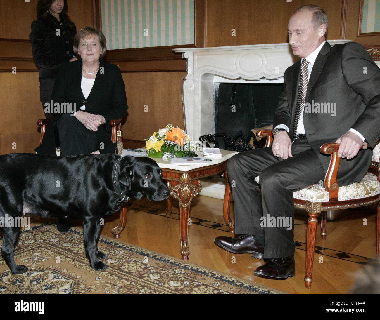 President Vladimir Putin and German Chancellor Angela Merkel had talks at  the Bocharov Ruchei presidential residence in Sochi(Southern  Russia).(Putin`s dog Kinni on the picture Stock Photo - Alamy