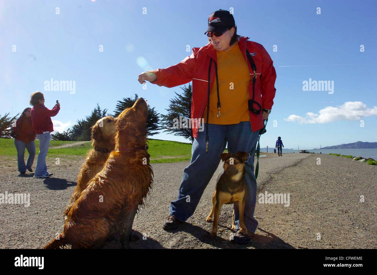 Fetch! Pet Care employee Andrea Picco walks with (LR) Misha, Sassy and