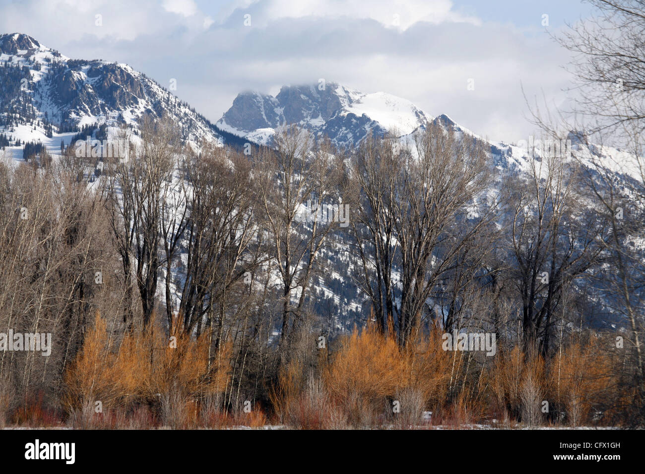 Mar 18, 2007 Jackson Hole, WY, USA With 2,500 acres of legendary
