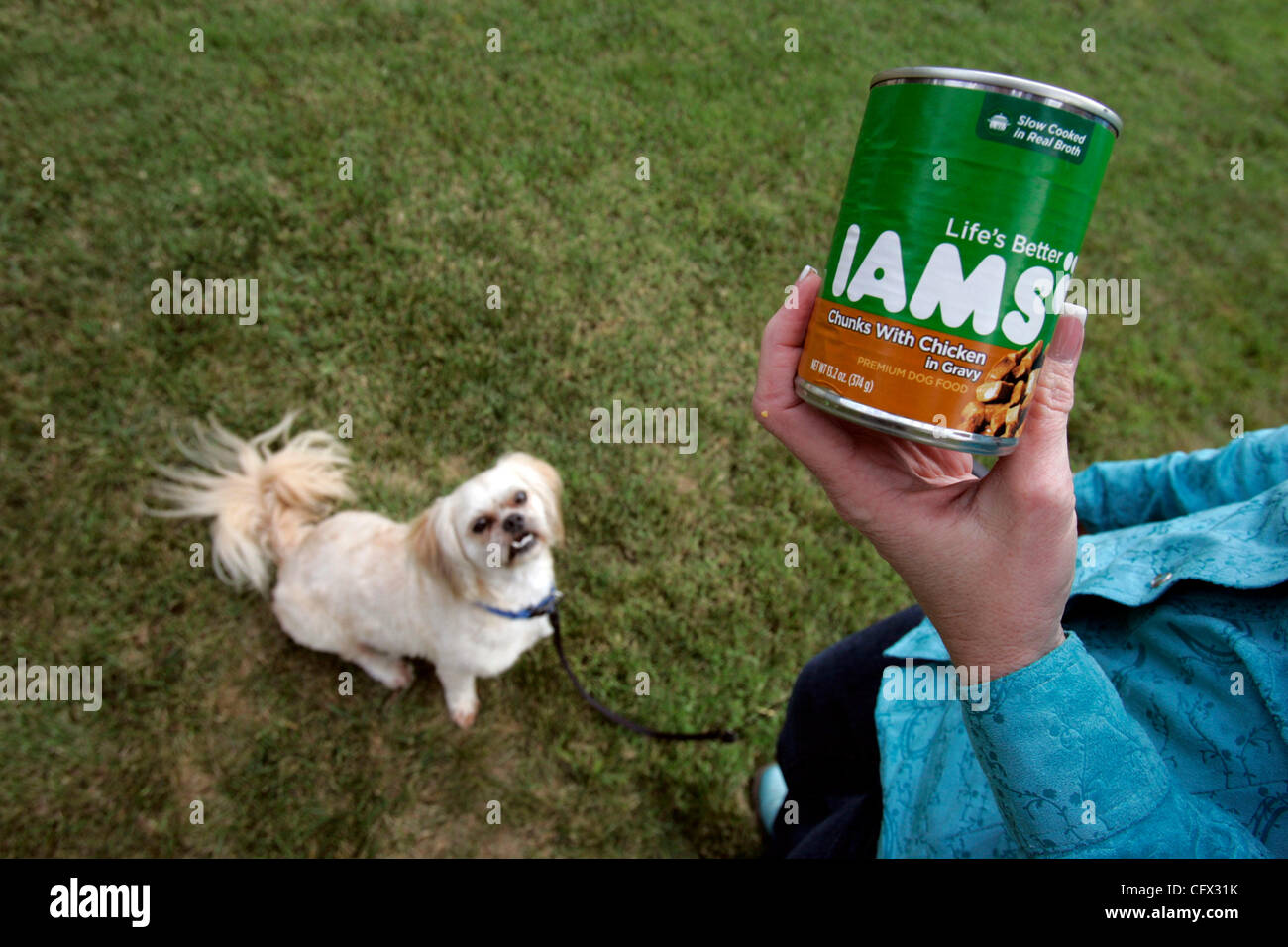 March 20, 2007, Lakeside,-KATE CUNNINGHAM with her dog BEAR, a seven year-old Lhasa Aphso in the front yard of their Lakeside home.  BEAR came down ill after eating some of the cans of IAMs pet food shown in these cans.  He has recovered fully but the extent of possible permanent kidney damage is un Stock Photo