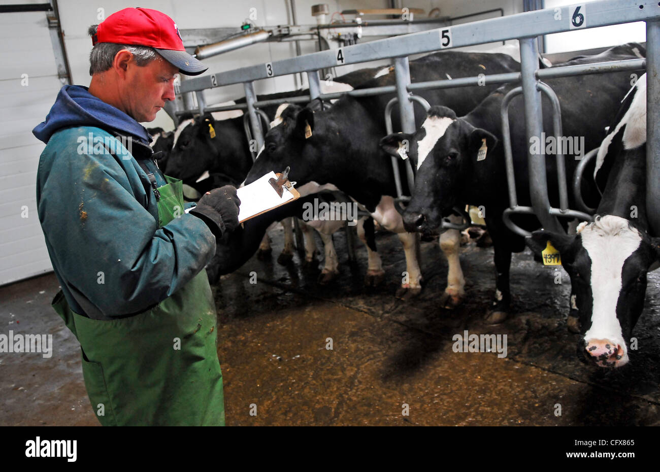 UNITED DAIRIES UD012 “an afflicted” UNITED DAIRIES UD012 “an afflicted” UNITED DAIRIES UD012 “an