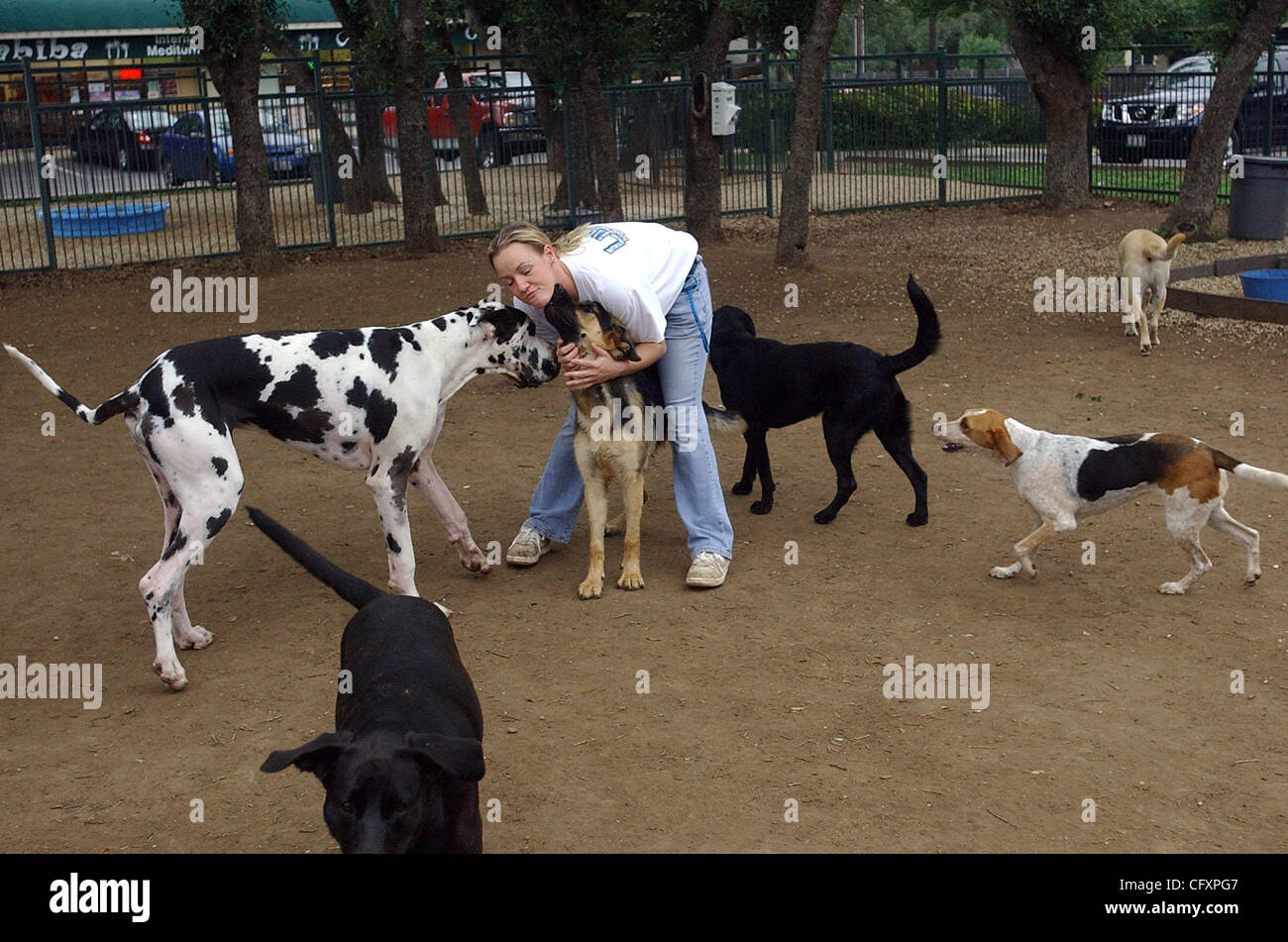 How Many Dogs Can You Have In A Doggie Daycare