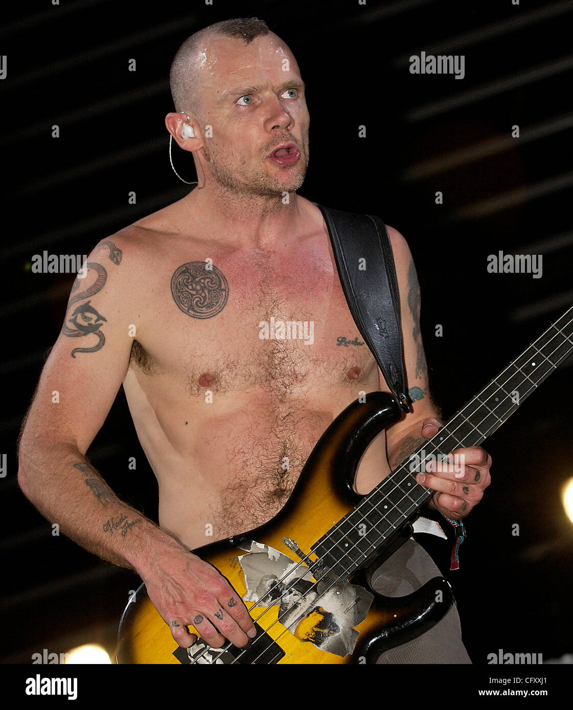 Red Hot Chili Peppers Flea Editorial Stock Photo - Stock Image |  Shutterstock Editorial
