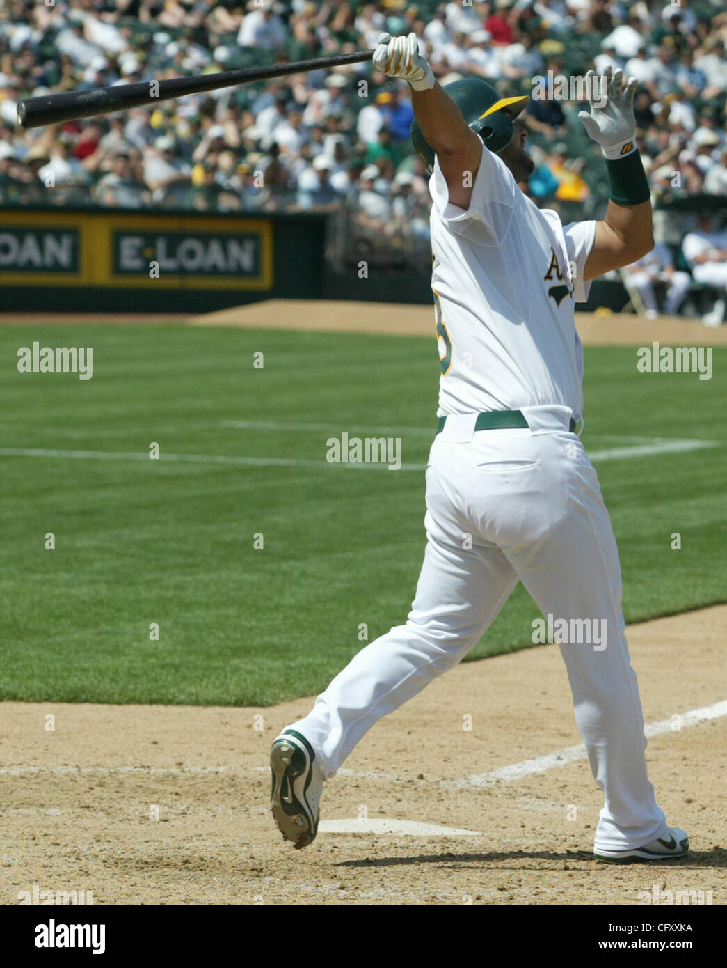 Tampa Bay Devil Rays relief pitcher Danys Baez (right) celebrates