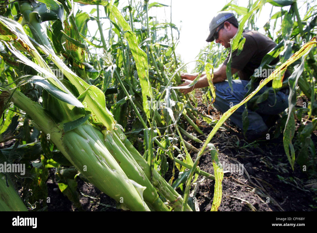 Hundley hires stock photography and images Alamy