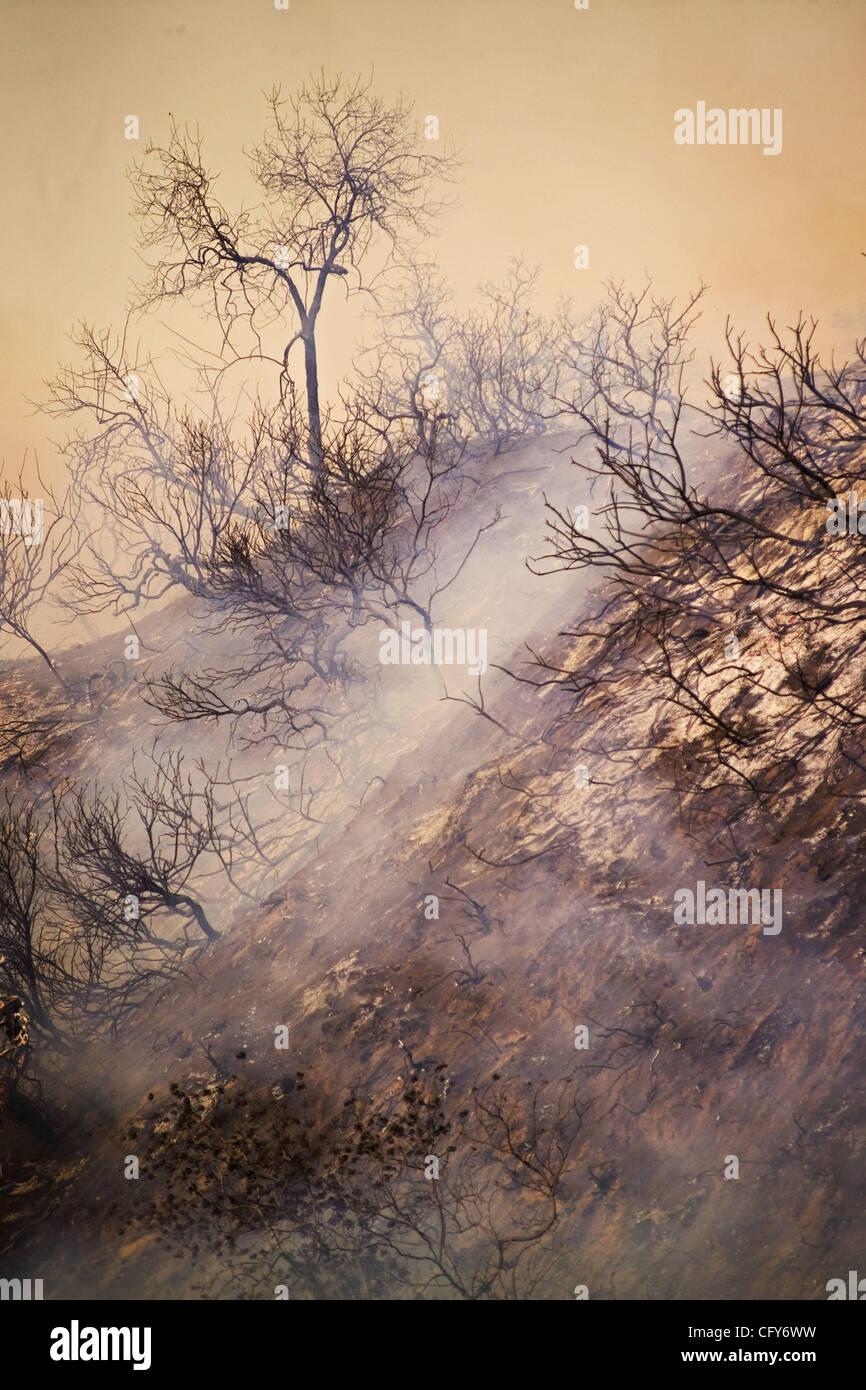 Burnt landscape in Griffith Park, Los Angeles. Authorities said the fire has scorched 600 acres of trees and brush in Los Angeles' sprawling Griffith Park Tuesday. No homes were immediately threatened, but evacuations were put into effect in the park's Vermont Canyon area. Extremely dry, hot and win Stock Photo