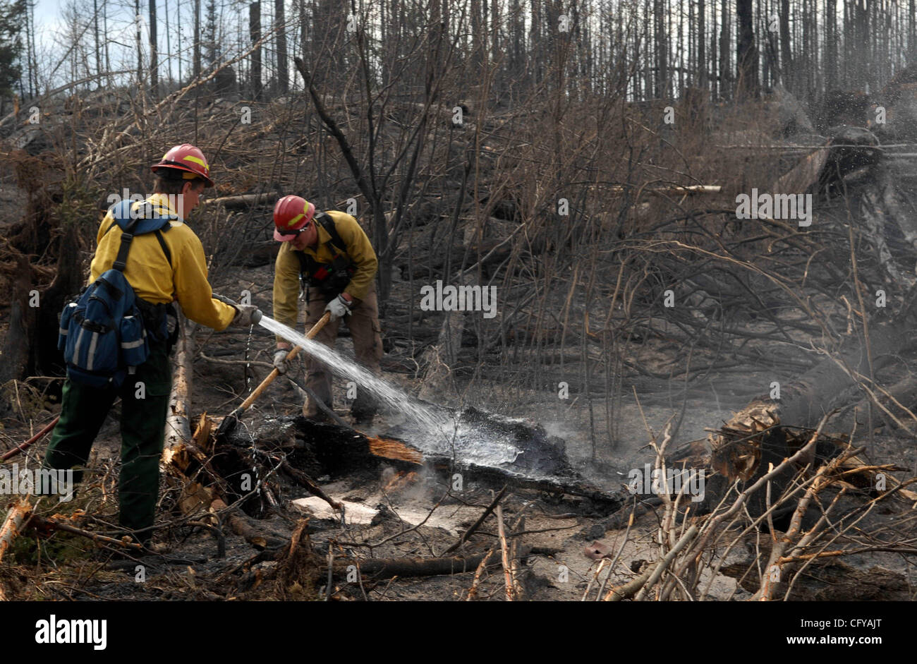 Gunflint Trail Monday 5/7/2007.Ham Lake fire on the Gunflint Trail- In this picture: L to R Doug Rau and Eric Johnson of a Minnesota DNR engine co. work putting out hot spots  (Credit Image: © Minneapolis Star Tribune/ZUMA Press) Stock Photo