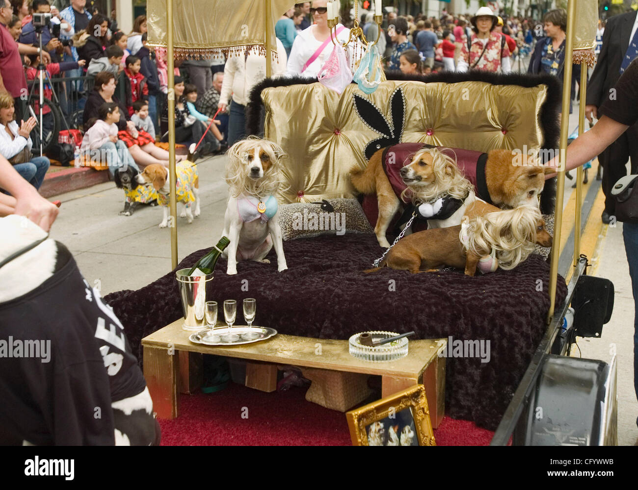 Jun 02, 2007 Santa Barbara, CA, USA Dogs in all shapes, sizes and