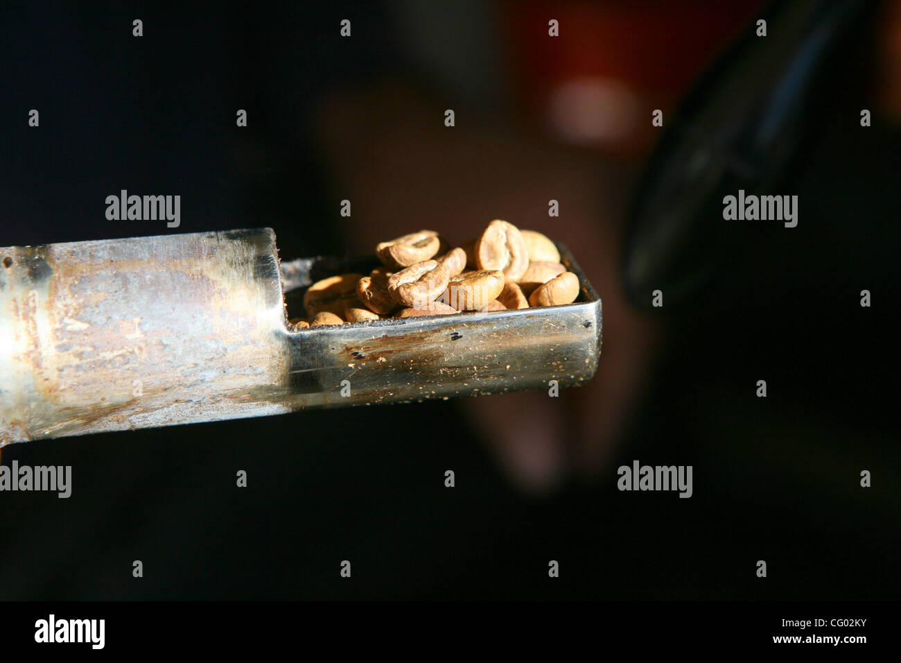 Jun 08, 2007 Alice Springs, Northern Territory, Australia Roasting