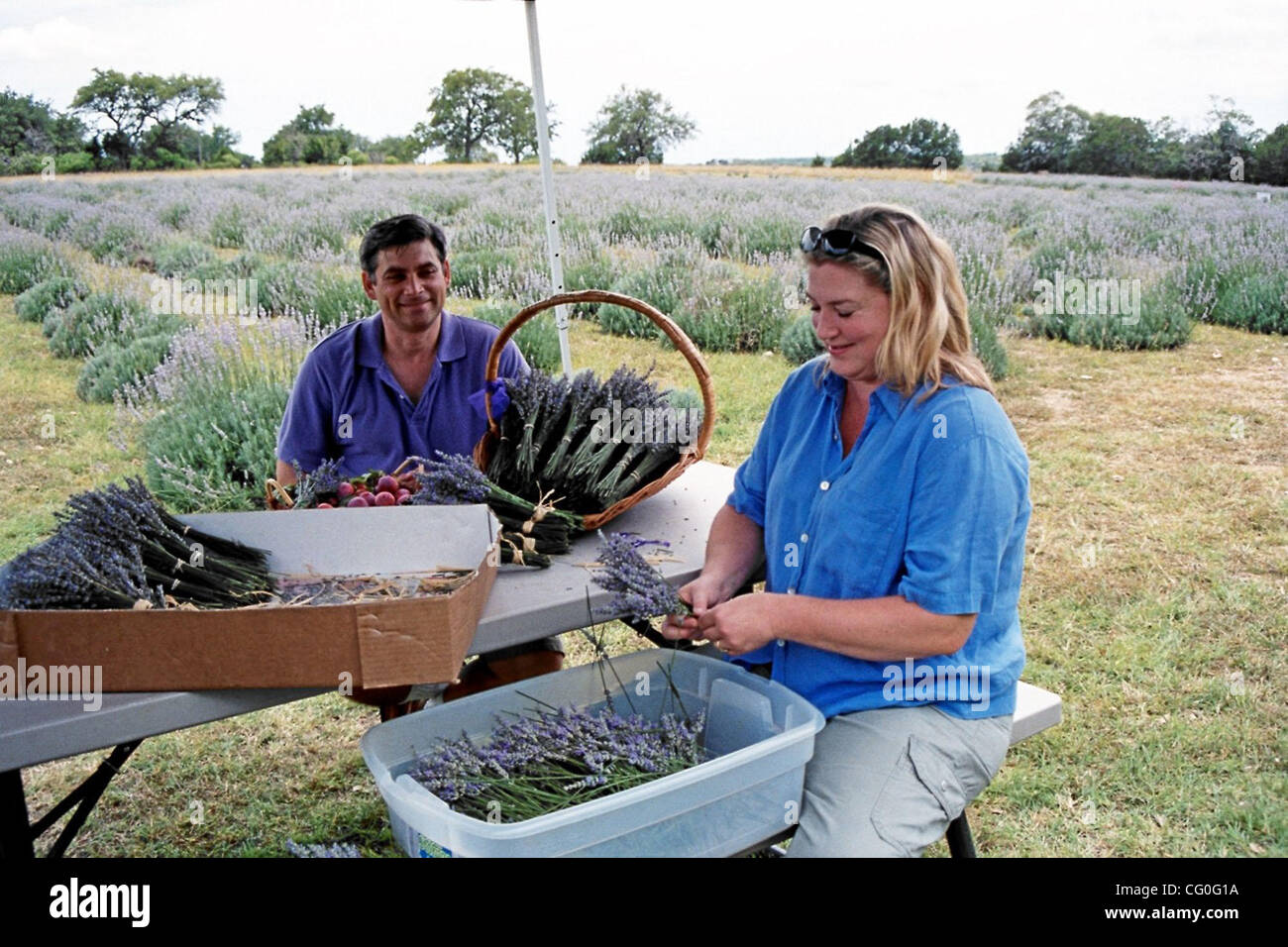 Karen and O'Neil Provost saw an opportunity to steward their own piece of  land when they bought a piece of property outside Wimberly and planted a  lavender farm and garden where they