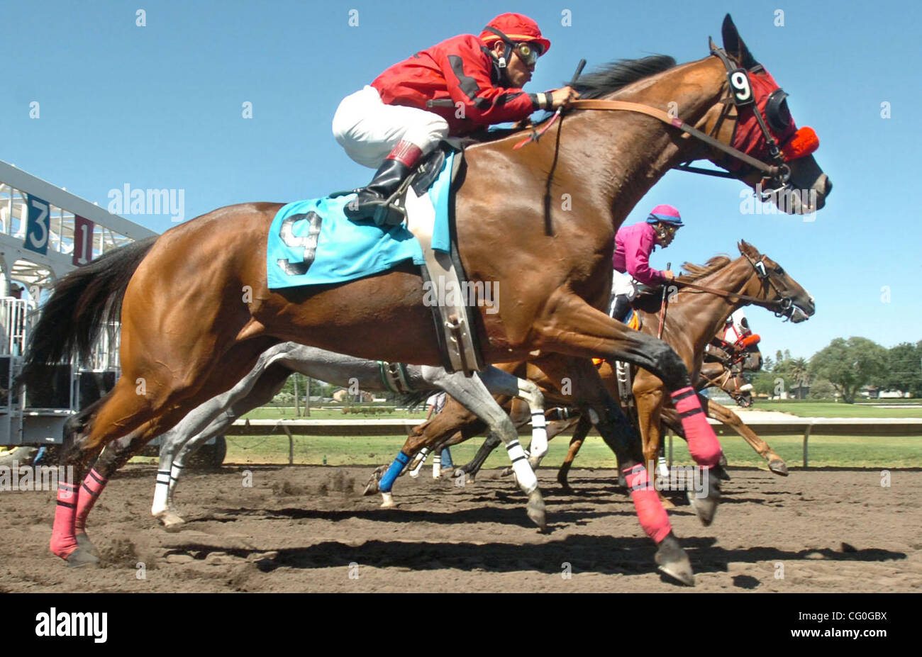 Jockey Pedro Flores, riding the 9 horse "Claire Simoff," bolt out of