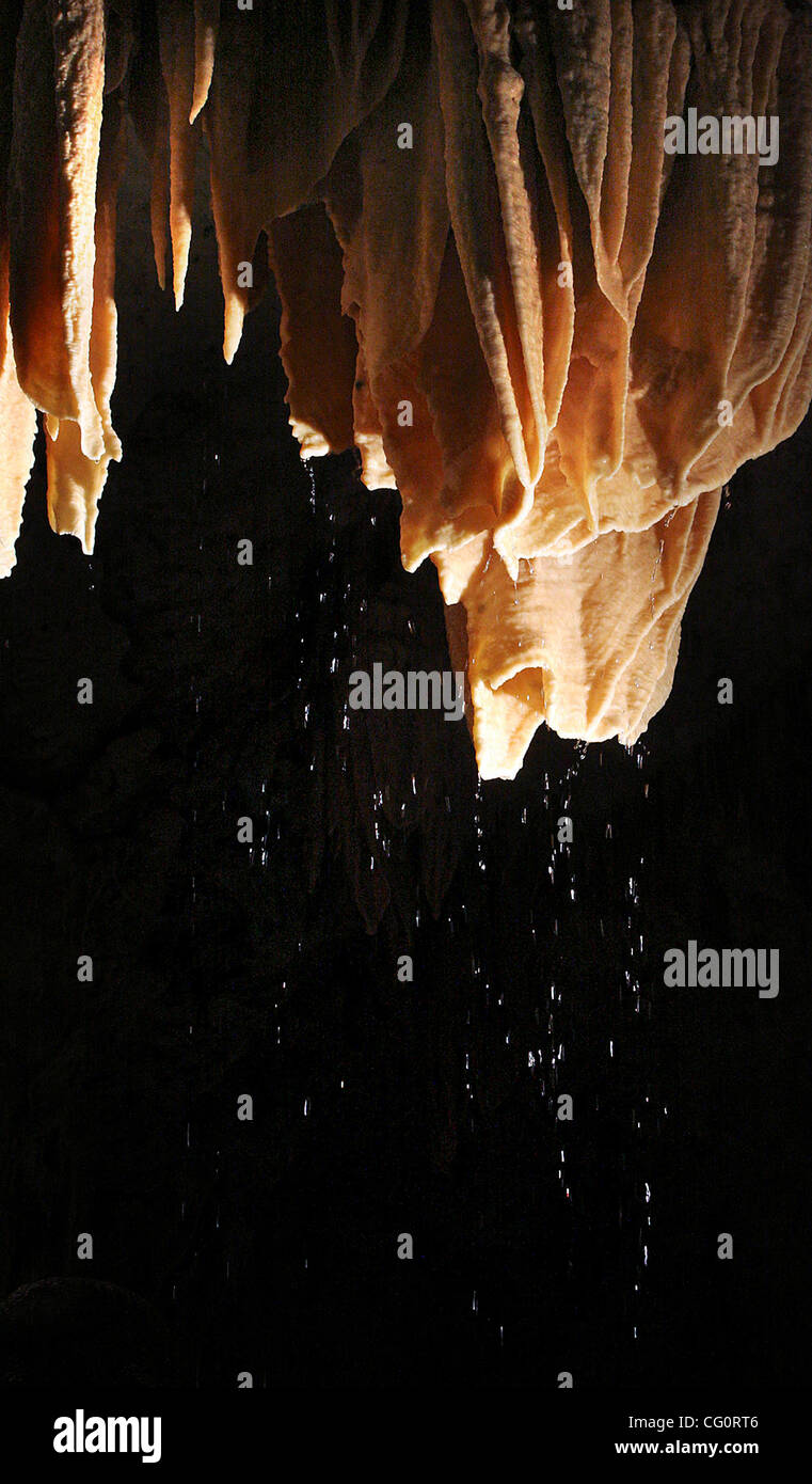 Metro daily - Water drips from a cave formation at Natural Bridge Caverns due to recent rains.  The caves are in the Glen Rose Aquifer which is part of the Trinity Aquifer Group.  Friday, July 13, 2007.  Photo Bob OWen Stock Photo