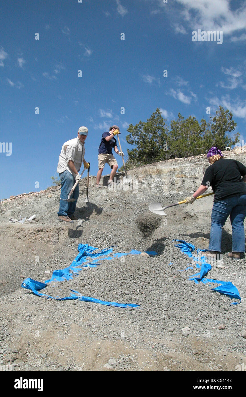 Paleontologists excavate dinosaur fossils from a quarry in New Mexico