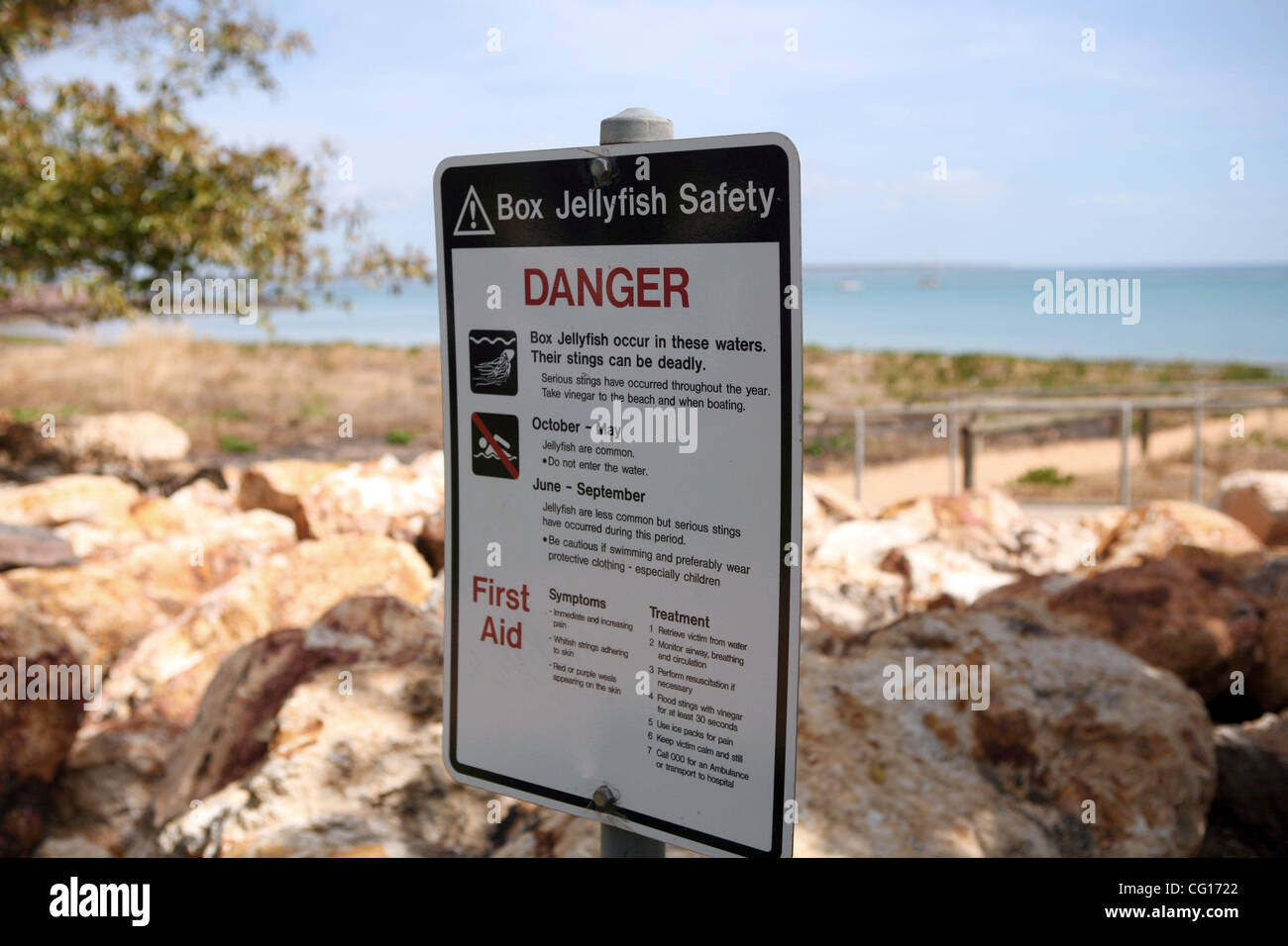 Box jellyfish australia hires stock photography and images Alamy