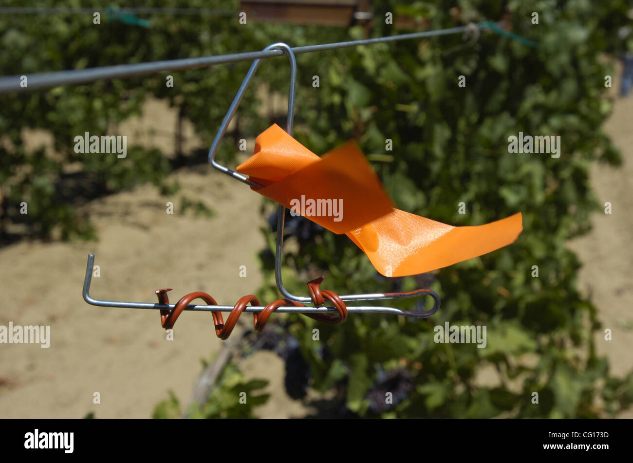 Pheromone twist hires stock photography and images Alamy