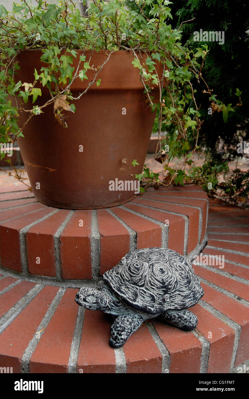 The gardens at Tao House are being restored to look like those of Nobel Prize-winning playwright Eugene O'Neill and his wife Carlotta, in Danville, Calif., on Tuesday, August  7, 2007. This tortoise may have belonged in the original garden. The home's subsequent owners returned it to the National Hi Stock Photo