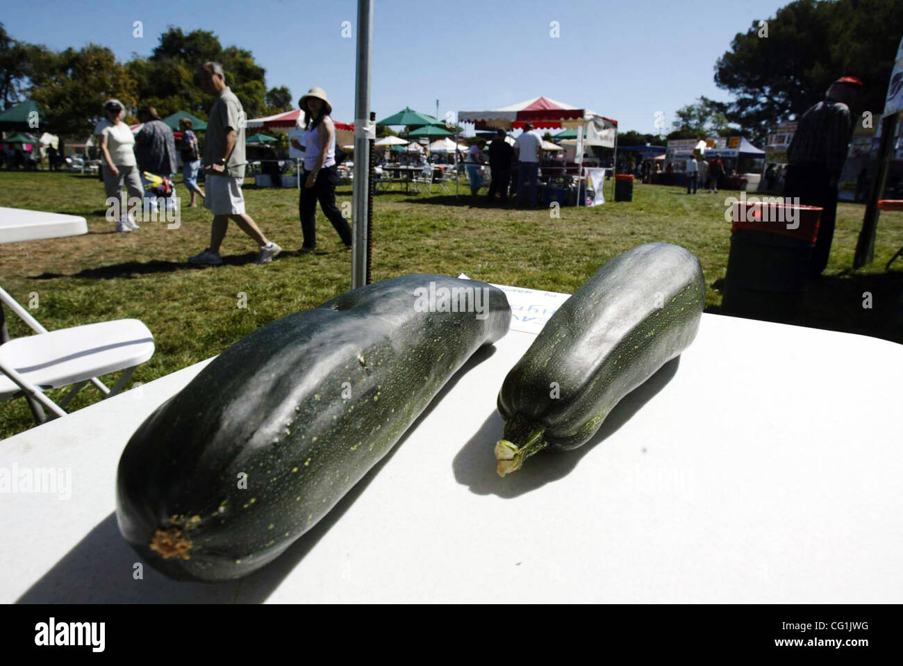 Contest entries for the Heaviest Hybrid Zucchini are on display at the