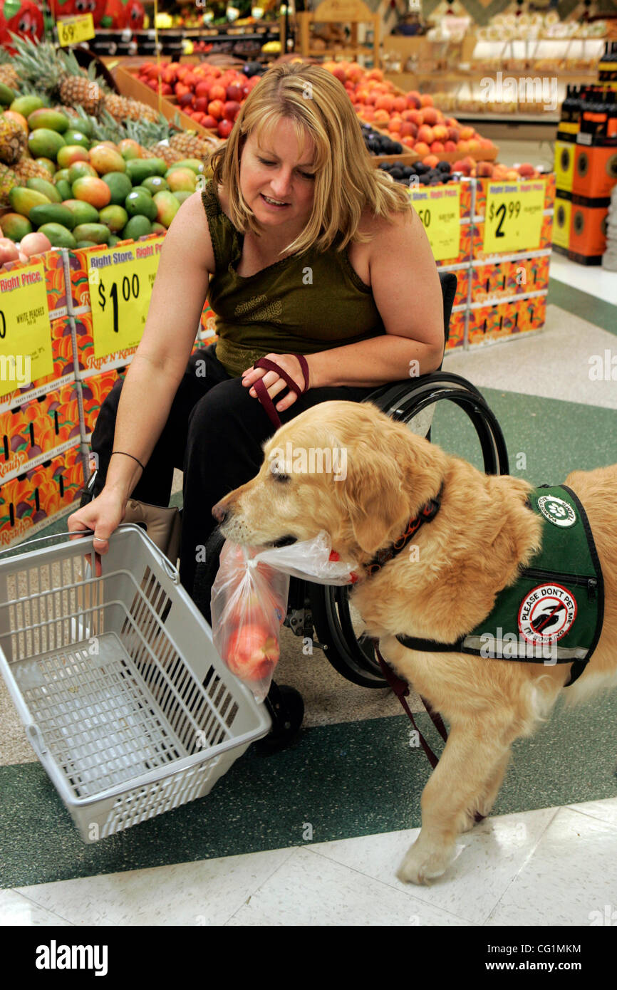 PAMELA ALBERTSON, age 37, shops for groceries at Ralph's grocery store in Point Loma with her golden retriever, 'Cameo,' age 10, a golden retriever service dog.  Her boyfriend, JOHN CARPENTER, age 43, also came to shop with her.  Apparently, more and more people are faking service dogs. They go onli Stock Photo
