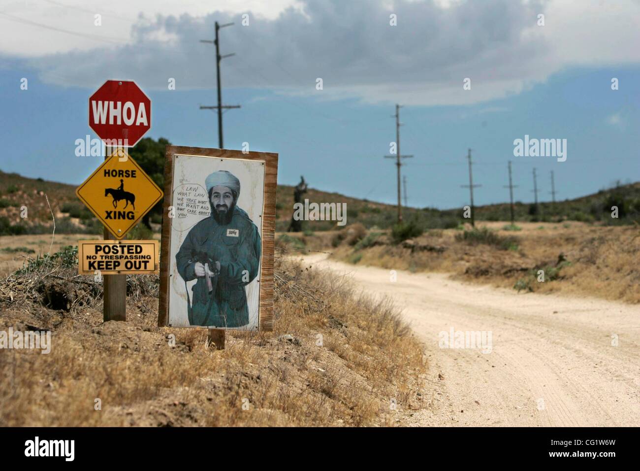 Carol Morrow Facebook, Instagram, Twitter [Profiles]