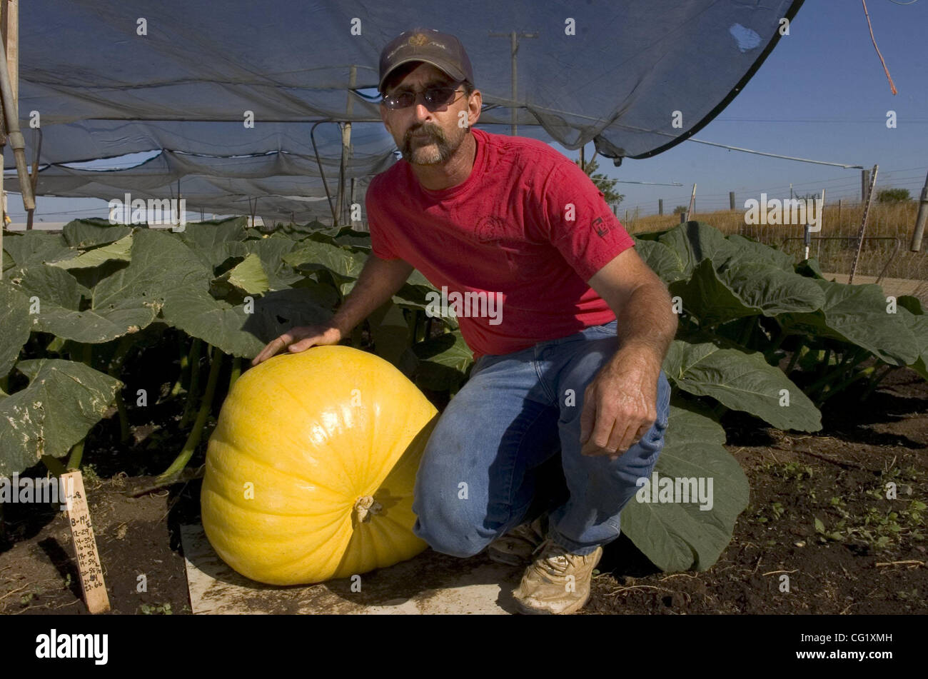 Ken Mitchell poses with his son, Austin's, 23dayold pumpkin in the