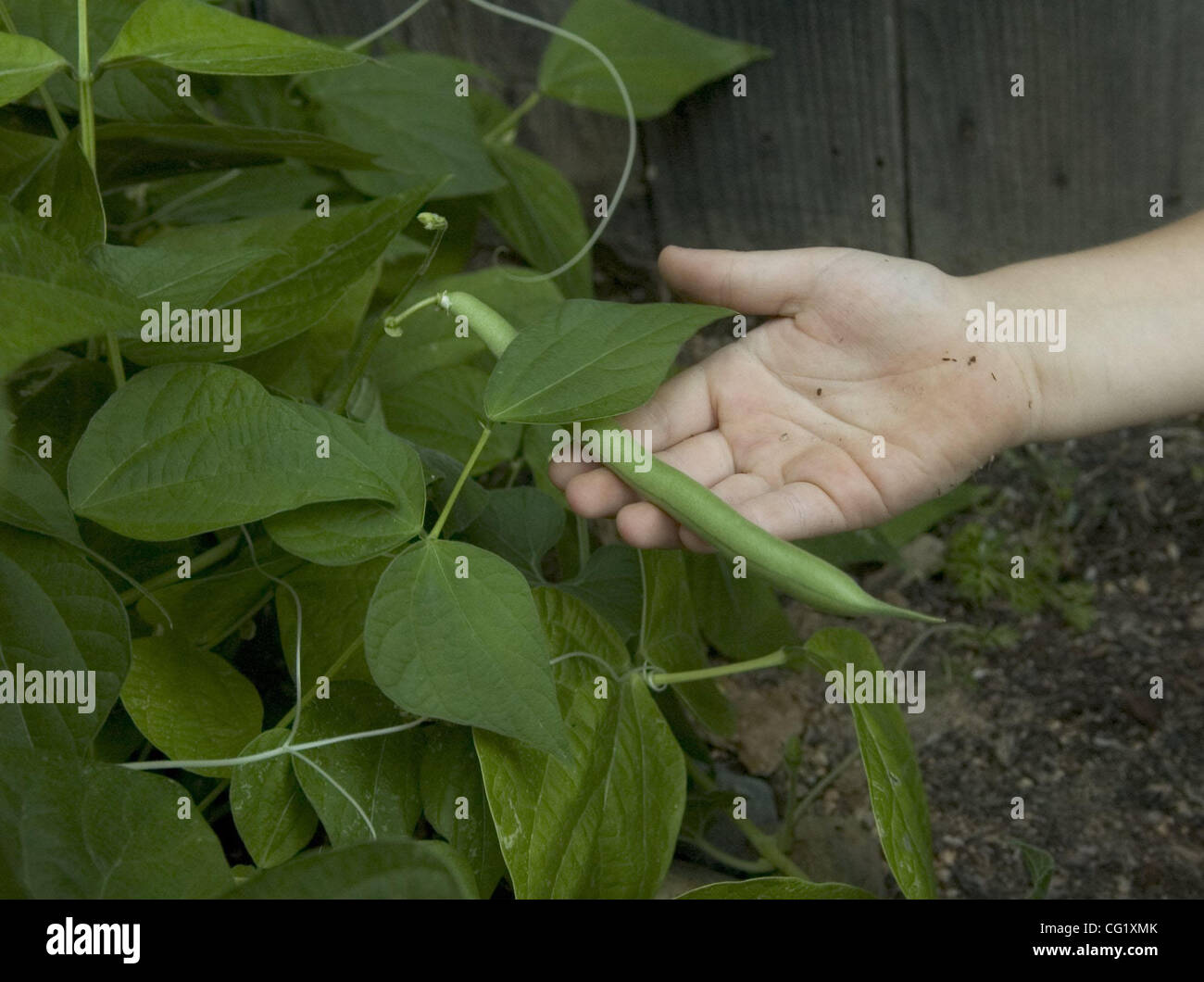 Anne bean hi-res stock photography and images - Alamy