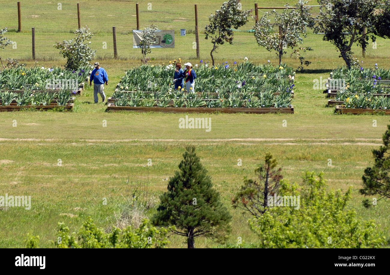 12 yardas hi-res stock photography and images - Alamy, image size:1300x917