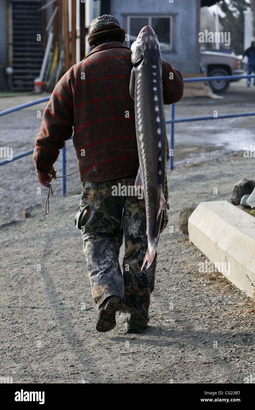 SECOND Greg Tibbetts hauls a sturgeon he caught during a fishing derby