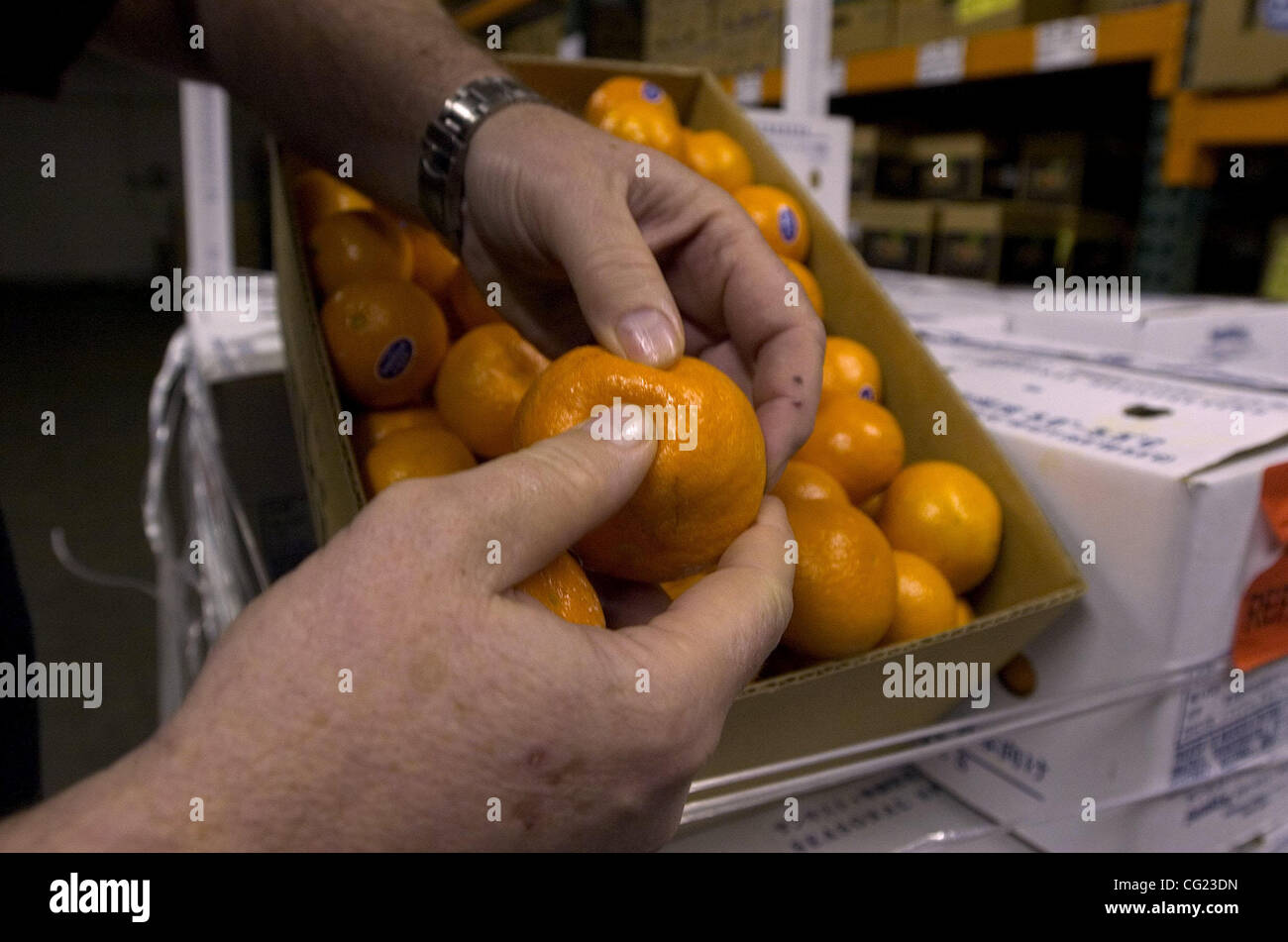 Rick Bateman (cq), buyer at the General Produce Company shows the damage to tangerines, "clear
