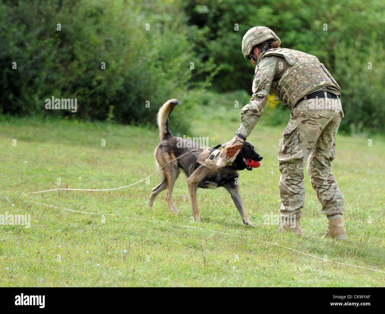 IED and mine detection dog and handler Stock Photo