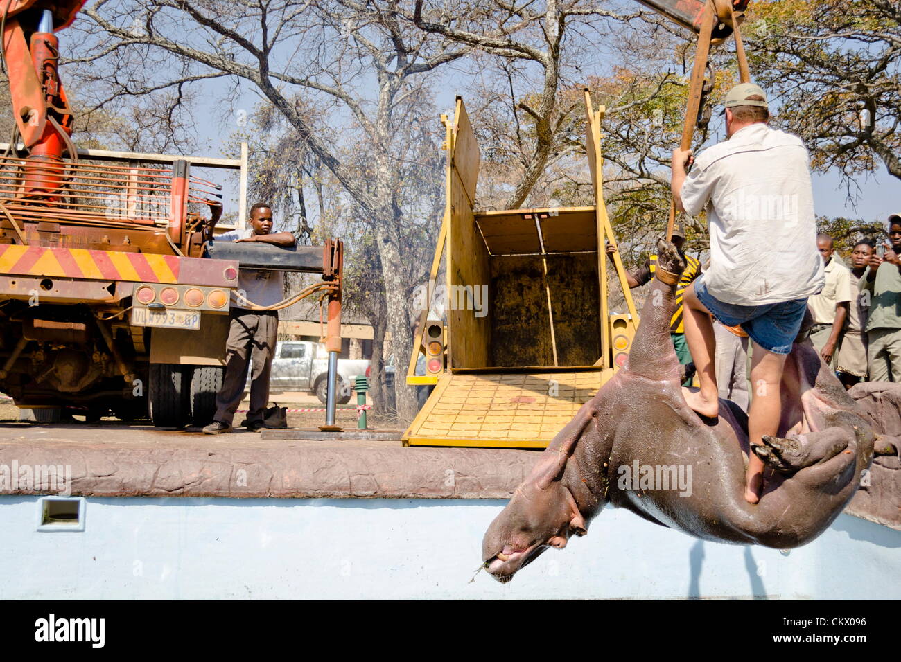 24th Aug 2012. MODIMOLLE, SOUTH AFRICA Veterinarian Dr Alex Lewis