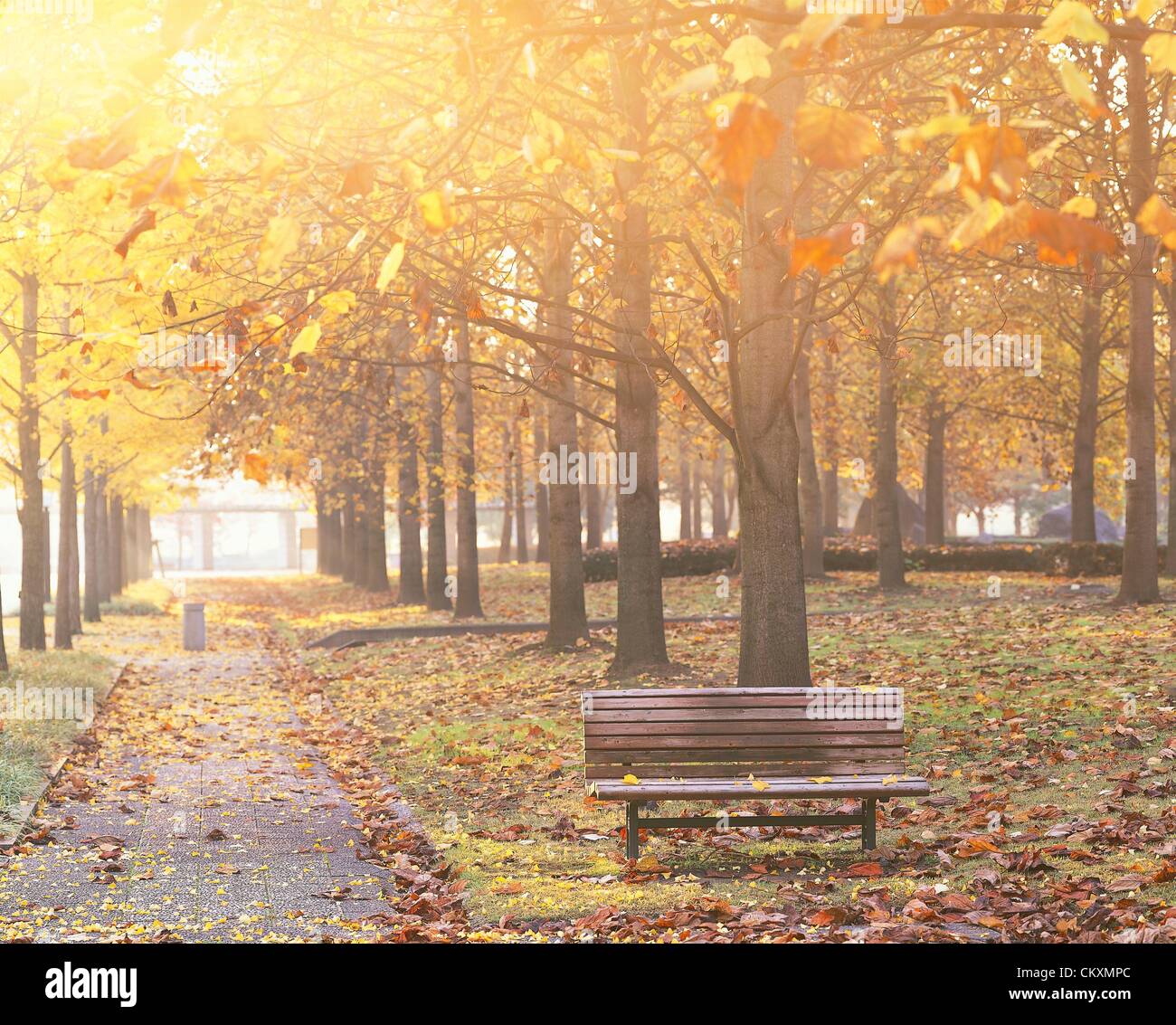 The seasons in Japan are very important to the Japanese. Just as in ...