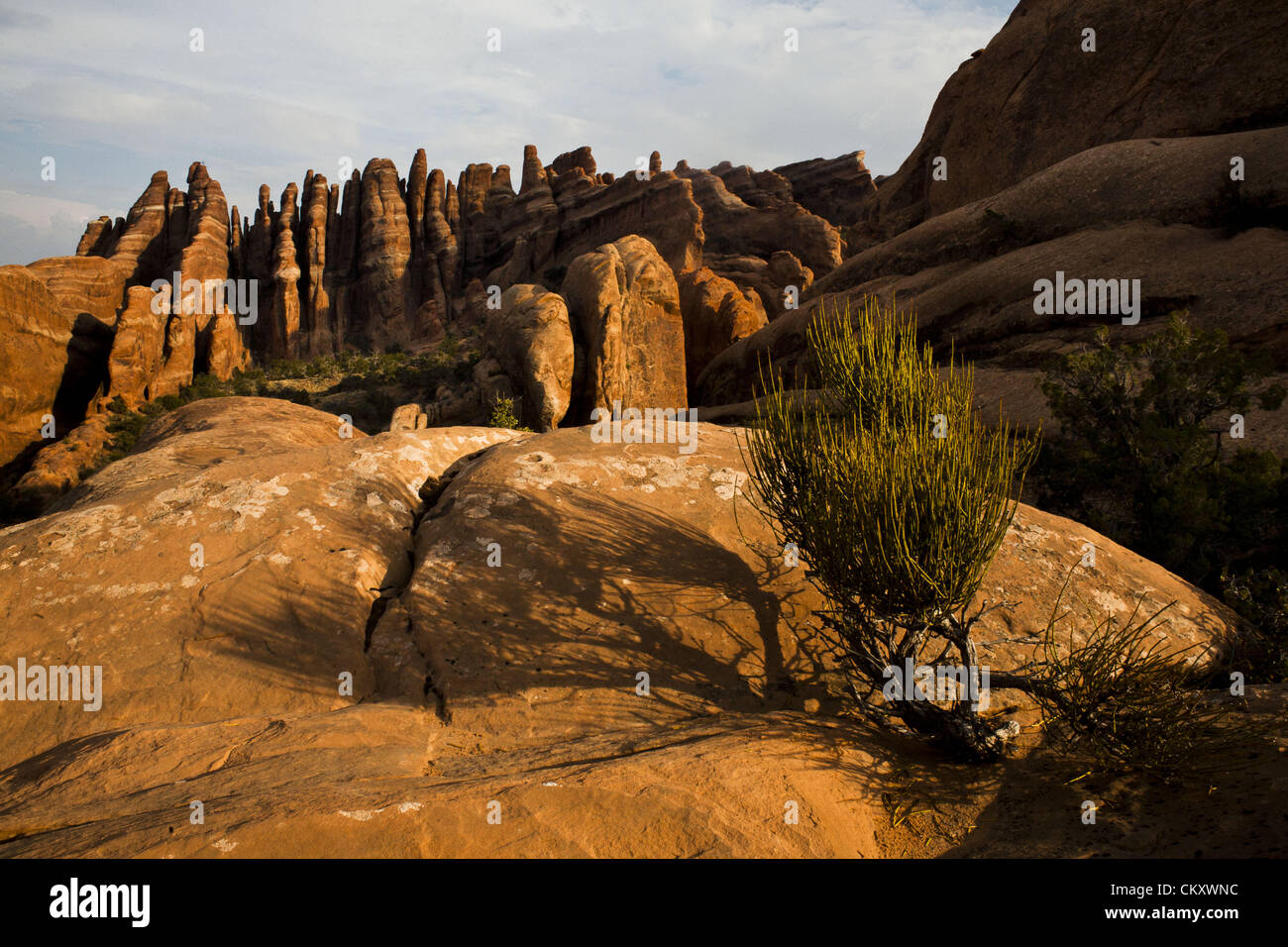 Aug. 21, 2012 - Moab, Utah, U.S - 10,000 years ago hunter-gathers migrated to the area where current day Arches National Park is located. Roughly 2,000 years ago ancestral Puebloan and Fremont people began planting crops in the Four Corners region. President Herbert Hoover signed the legislation creating Arches National Monument onApril 12, 1929. Then on November 12, 1971 congress changed the status of Arches to a National Park. This legislation helped preserve over 10,000 years of cultural history that is now part of the famous landscape of sandstone arches and canyons. (Credit Image: © Jerry Stock Photo