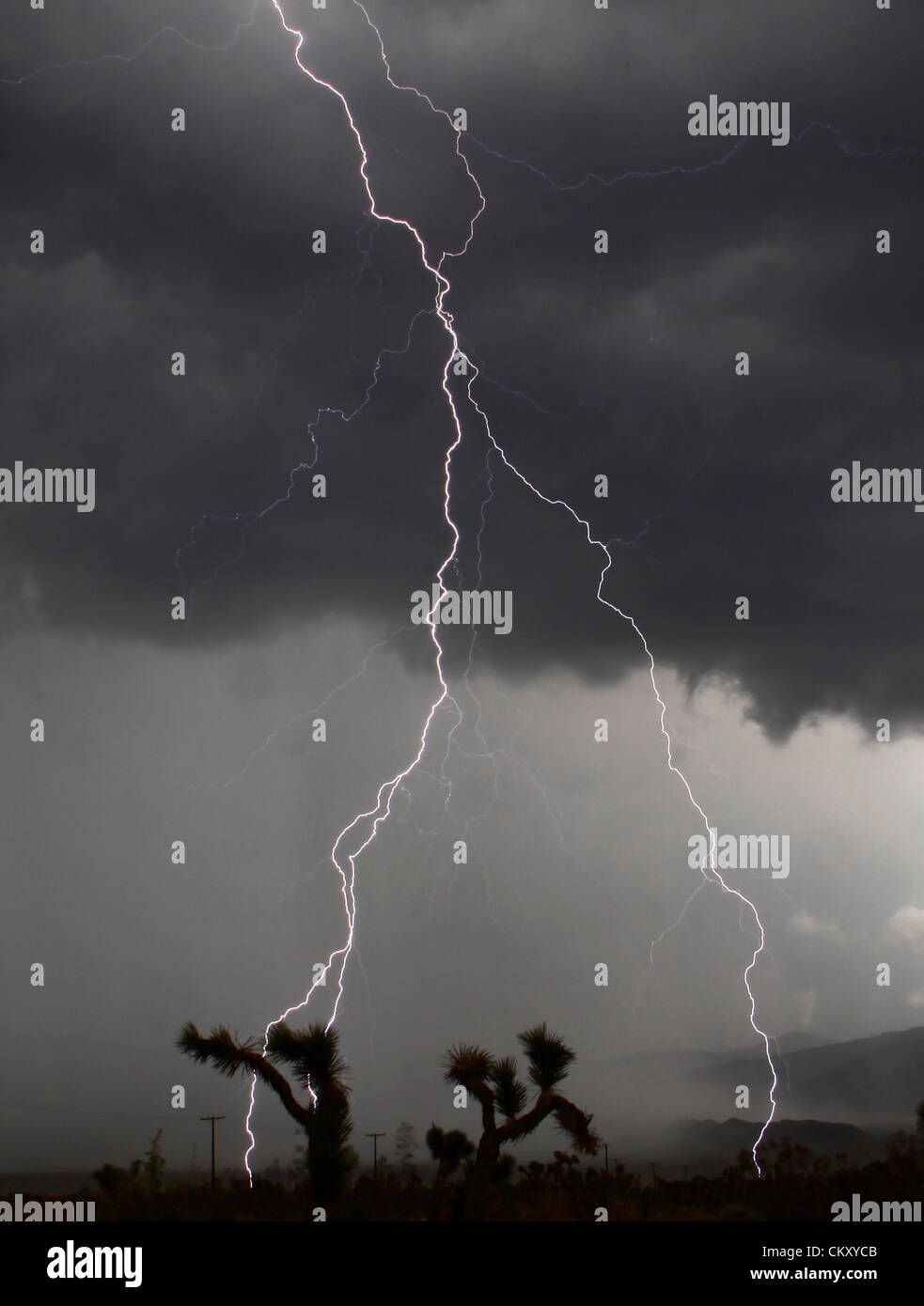 August 30,2012. Littlerock California, USA. Cloud to ground lightning